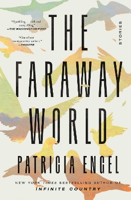 The Faraway World: Stories by Patricia Engel