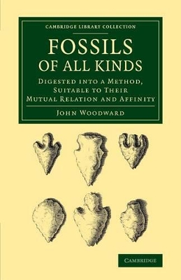 Fossils of All Kinds book