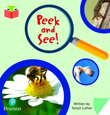 Bug Club Independent Phase 3 Unit 9: Peek and See book