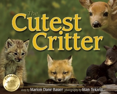 Cutest Critter book