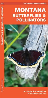 Montana Butterflies & Pollinators: A Folding Pocket Guide to Familiar Species by James Kavanagh