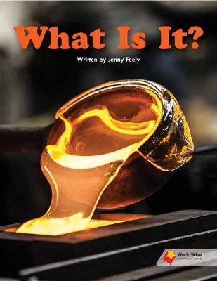 What Is it? book