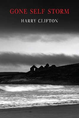 Gone Self Storm by Harry Clifton