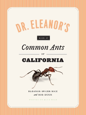 Dr. Eleanor's Book of Common Ants of California by Eleanor Spicer Rice