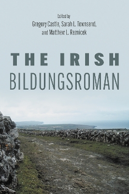 The Irish Bildungsroman book