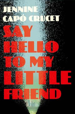 Say Hello to My Little Friend book