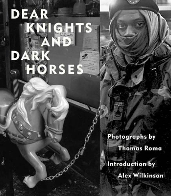 Dear Knights And Dark Horses book