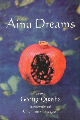 Ainu Dreams book