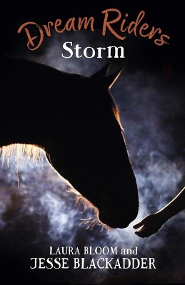 Dream Riders: Storm book