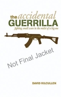 Accidental Guerrilla: Fighting Small Wars In The Midst Of ABig One book