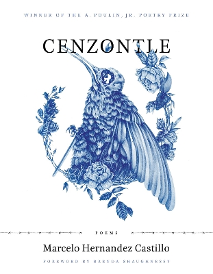 Cenzontle book