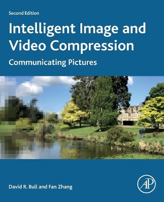Intelligent Image and Video Compression: Communicating Pictures by David Bull