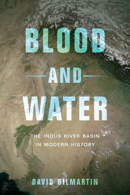 Blood and Water: The Indus River Basin in Modern History book