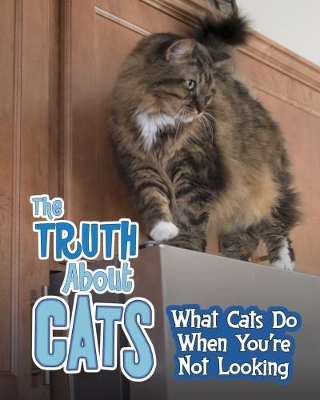 Truth about Cats by Mary Colson