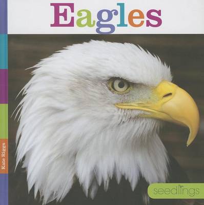 Eagles by Kate Riggs