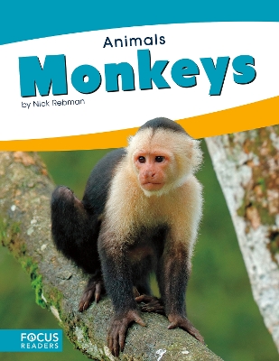 Monkeys book