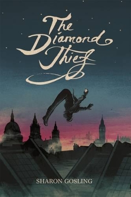 Diamond Thief book