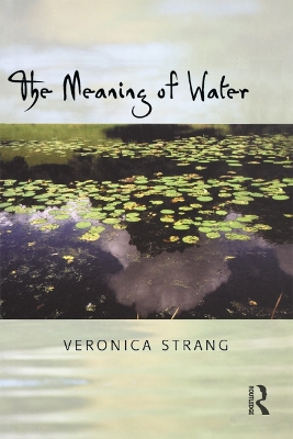 The Meaning of Water by Veronica Strang