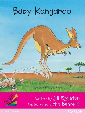 Baby Kangaroo book