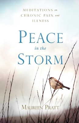 Peace in the Storm: Meditations on Chronic Pain and Illness book