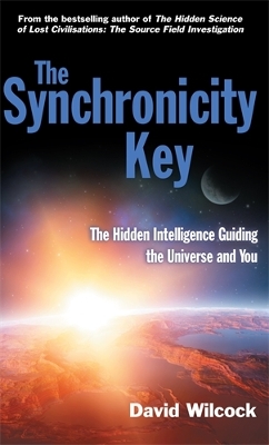 Synchronicity Key book