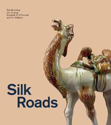 Silk Roads book