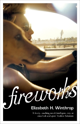 Fireworks by Elizabeth H. Winthrop