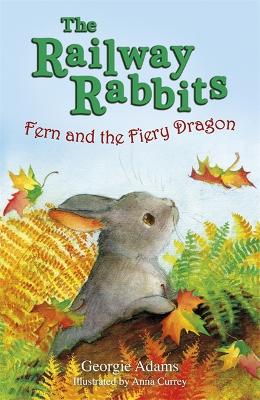 Railway Rabbits: Fern and the Fiery Dragon by Georgie Adams