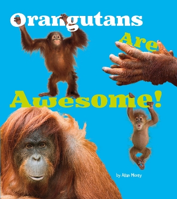 Orangutans Are Awesome! book