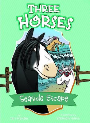 Seaside Escape book