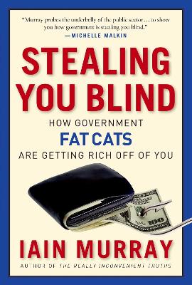 Stealing You Blind book