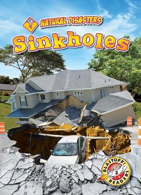 Sinkholes book