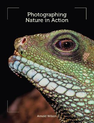 Photographing Nature in Action book