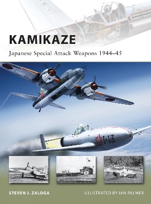 Kamikaze book