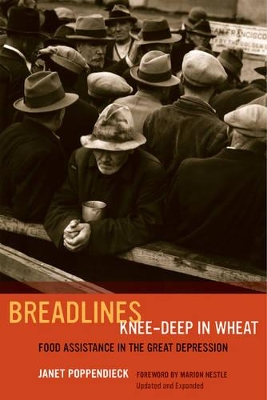 Breadlines Knee-Deep in Wheat by Janet Poppendieck