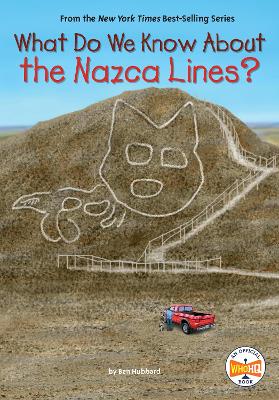 What Do We Know About the Nazca Lines? book