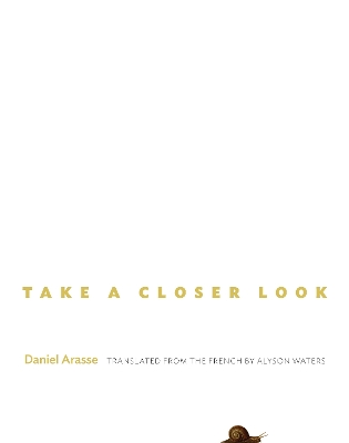 Take a Closer Look by Daniel Arasse