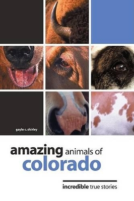 Amazing Animals of Colorado book