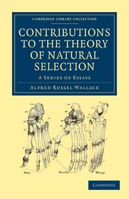 Contributions to the Theory of Natural Selection by Alfred Russel Wallace