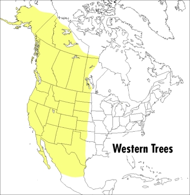 Field Guide to Western Trees book