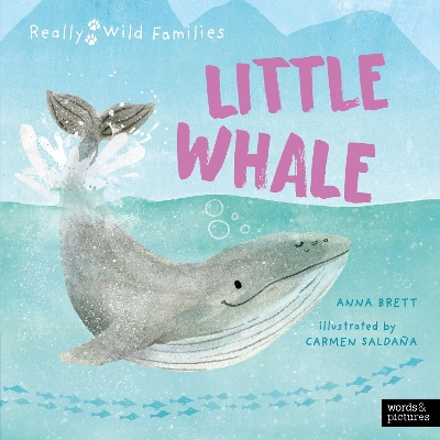 Little Whale: A Day in the Life of a Whale Calf book