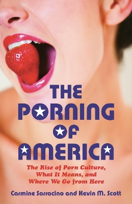 Porning of America book