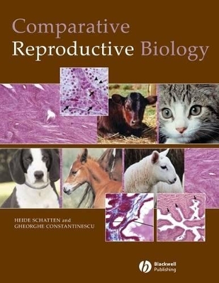 Comparative Reproductive Biology book