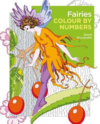 Fairies Colour by Numbers book
