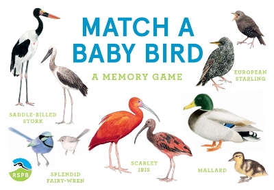Match a Baby Bird: A Memory Game book