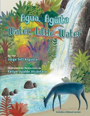 Agua, Aguita / Water, Little Water book