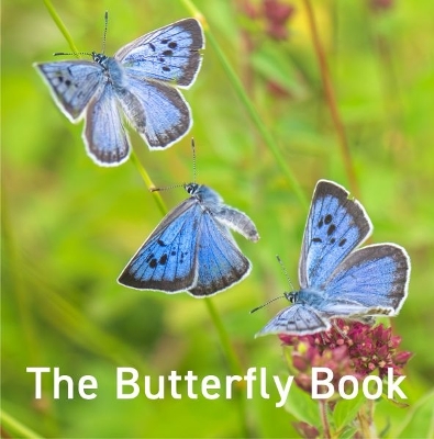 The Butterfly Book book