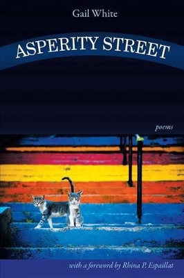 Asperity Street book