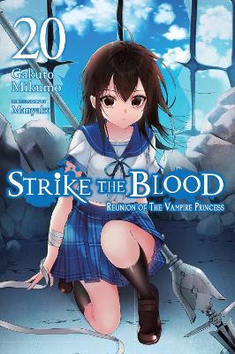 Strike the Blood, Vol. 20 (light novel) book