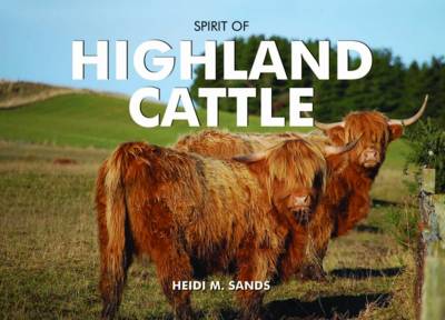 Spirit of Highland Cattle book